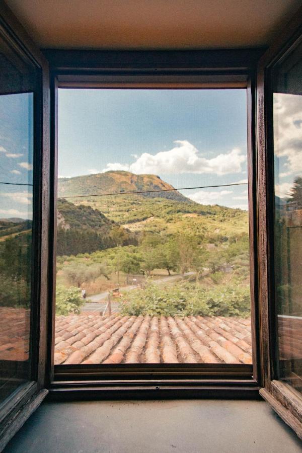 I Cedri Agriturismo Biologico Orsomarso Esterno foto